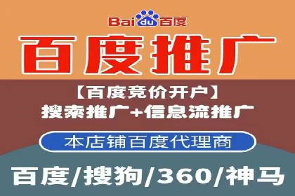 网络推广竞价实战：某电商平台的成功案例